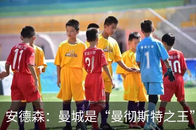 安德森：曼城是“曼彻斯特之王”，1.16亿英镑转会创纪录